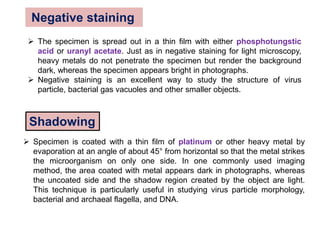  The specimen is spread out in a thin film with either phosphotungstic
acid or uranyl acetate. Just as in negative staining for light microscopy,
heavy metals do not penetrate the specimen but render the background
dark, whereas the specimen appears bright in photographs.
 Negative staining is an excellent way to study the structure of virus
particle, bacterial gas vacuoles and other smaller objects.
Negative staining
 Specimen is coated with a thin film of platinum or other heavy metal by
evaporation at an angle of about 45° from horizontal so that the metal strikes
the microorganism on only one side. In one commonly used imaging
method, the area coated with metal appears dark in photographs, whereas
the uncoated side and the shadow region created by the object are light.
This technique is particularly useful in studying virus particle morphology,
bacterial and archaeal flagella, and DNA.
Shadowing
 
