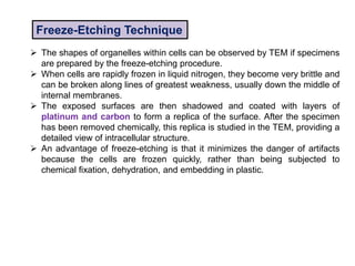  The shapes of organelles within cells can be observed by TEM if specimens
are prepared by the freeze-etching procedure.
 When cells are rapidly frozen in liquid nitrogen, they become very brittle and
can be broken along lines of greatest weakness, usually down the middle of
internal membranes.
 The exposed surfaces are then shadowed and coated with layers of
platinum and carbon to form a replica of the surface. After the specimen
has been removed chemically, this replica is studied in the TEM, providing a
detailed view of intracellular structure.
 An advantage of freeze-etching is that it minimizes the danger of artifacts
because the cells are frozen quickly, rather than being subjected to
chemical fixation, dehydration, and embedding in plastic.
Freeze-Etching Technique
 