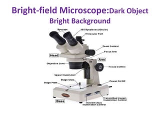Bright-field Microscope:Dark Object
Bright Background
 