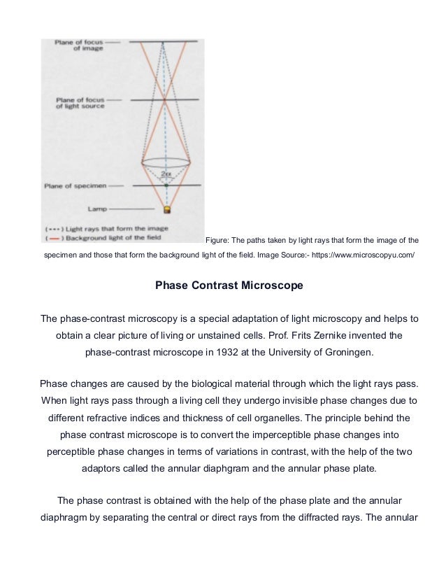 To Study Principles of Microscopy: Light Microscope, Phase Contrast ...