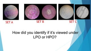 MICROSCOPY SCIENCE 7 -MAGNIFICATION.pptx