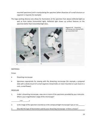 Microscopy 1 | DOC