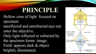 PRINCIPLE
• Hollow cone of light focused on
specimen
• unreflected and unrefracted rays not
enter the objective.
• Only light reflected or refracted by
the specimen forms image.
• Field appears dark & object
brightly illuminated.
 