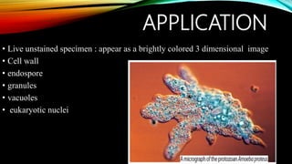 APPLICATION
• Live unstained specimen : appear as a brightly colored 3 dimensional image
• Cell wall
• endospore
• granules
• vacuoles
• eukaryotic nuclei
 