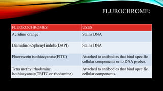 FLUROCHROME:
FLUOROCHROMES USES
Acridine orange Stains DNA
Diamidino-2-phenyl indole(DAPI) Stains DNA
Fluorescein isothiocyanate(FITC) Attached to antibodies that bind specific
cellular components or to DNA probes.
Tetra methyl rhodamine
isothiocyanate(TRITC or rhodamine)
Attached to antibodies that bind specific
cellular components.
 
