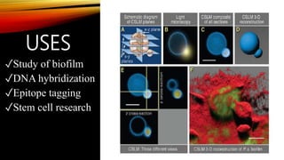USES
✓Study of biofilm
✓DNA hybridization
✓Epitope tagging
✓Stem cell research
 