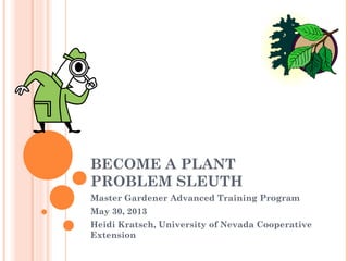 BECOME A PLANT
PROBLEM SLEUTH
Master Gardener Advanced Training Program
May 30, 2013
Heidi Kratsch, University of Nevada Cooperative
Extension
 
