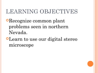 LEARNING OBJECTIVES
Recognize common plant
problems seen in northern
Nevada.
Learn to use our digital stereo
microscope
 