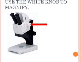 USE THE WHITE KNOB TO
MAGNIFY.
 