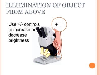 ILLUMINATION OF OBJECT
FROM ABOVE
+ –Use +/- controls
to increase or
decrease
brightness
 