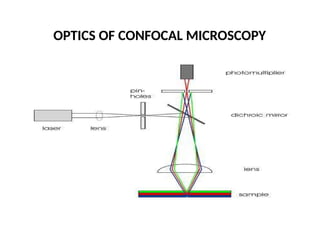 OPTICS OF CONFOCAL MICROSCOPY
 