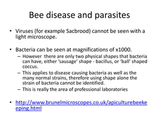 Bee disease and parasites
• Viruses (for example Sacbrood) cannot be seen with a
light microscope.
• Bacteria can be seen at magnifications of x1000.
– However there are only two physical shapes that bacteria
can have, either ‘sausage’ shape - bacillus, or ‘ball’ shaped
coccus.
– This applies to disease causing bacteria as well as the
many normal strains, therefore using shape alone the
strain of bacteria cannot be identified.
– This is really the area of professional laboratories
• http://www.brunelmicroscopes.co.uk/apiculturebeeke
eping.html
 