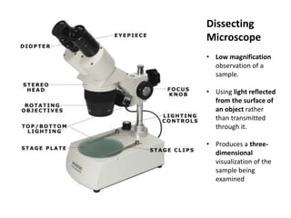 Dissecting
Microscope
• Low magnification
observation of a
sample.
• Using light reflected
from the surface of
an object rather
than transmitted
through it.
• Produces a three-
dimensional
visualization of the
sample being
examined
 