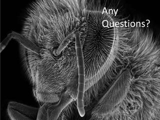 Any
Questions?
 