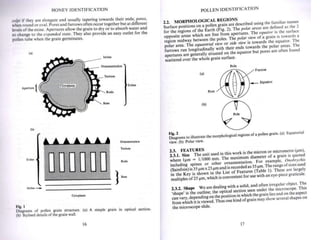 Microscopy for beekeepers