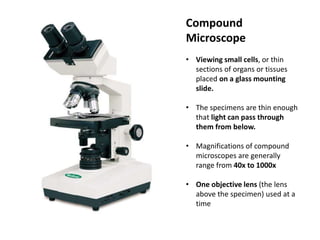 Compound
Microscope
• Viewing small cells, or thin
sections of organs or tissues
placed on a glass mounting
slide.
• The specimens are thin enough
that light can pass through
them from below.
• Magnifications of compound
microscopes are generally
range from 40x to 1000x
• One objective lens (the lens
above the specimen) used at a
time
 
