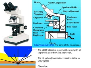 The x1000 objective lens must be used with oil
to prevent distortion and aberration.
The oil (yellow) has similar refractive index to
Crown glass
Glass slide
http://goo.gl/tre3AQ The parts of the microscope.
 