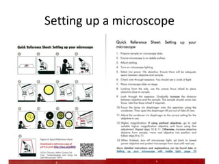 Setting up a microscope
 