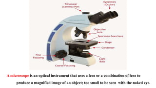 Microscopy | PPTX