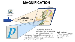 Micrograph Magnification Examples Using A Magnification Microscopy | PPTX