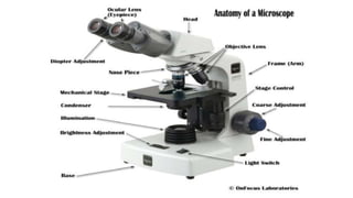 Microscopy | PPTX