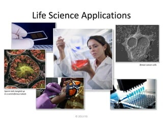 © 2013 FEI
Life Science Applications
Breast cancer cells
Sperm tails tangled up
in a seminiferous tubule
 