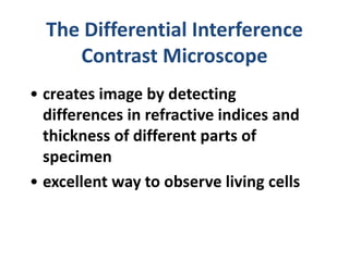The Differential Interference
Contrast Microscope
• creates image by detecting
differences in refractive indices and
thickness of different parts of
specimen
• excellent way to observe living cells
 