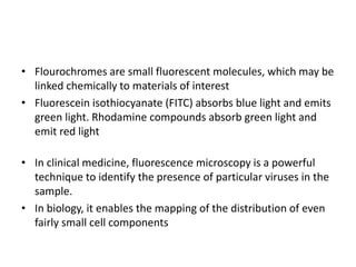 • Flourochromes are small fluorescent molecules, which may be
linked chemically to materials of interest
• Fluorescein isothiocyanate (FITC) absorbs blue light and emits
green light. Rhodamine compounds absorb green light and
emit red light
• In clinical medicine, fluorescence microscopy is a powerful
technique to identify the presence of particular viruses in the
sample.
• In biology, it enables the mapping of the distribution of even
fairly small cell components
 