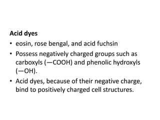 Acid dyes
• eosin, rose bengal, and acid fuchsin
• Possess negatively charged groups such as
carboxyls (—COOH) and phenolic hydroxyls
(—OH).
• Acid dyes, because of their negative charge,
bind to positively charged cell structures.
 