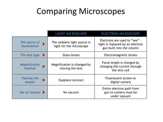 Comparing Microscopes
LIGHT MICROSCOPE ELECTRON MICROSCOPE
Use of vacuum No vacuum
Entire electron path from
gun to camera must be
under vacuum
The source of
illumination
The ambient light source is
light for the microscope
Electrons are used to “see” –
light is replaced by an electron
gun built into the column
The lens type Glass lenses Electromagnetic lenses
Magnification
method
Magnification is changed by
moving the lens
Focal length is charged by
changing the current through
the lens coil
Viewing the
sample
Eyepiece (ocular)
Fluorescent screen or
digital camera
 