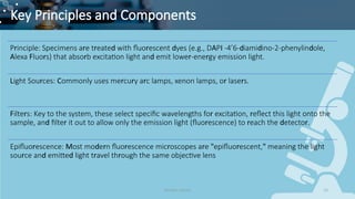 Microscopy Principles and Forensic Science Applications: Techniques and ...