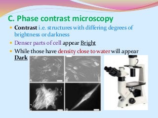  Contrast i.e. structures with differing degrees of
brightness or darkness
 Denser parts of cell appear Bright
 While those have density close to water will appear
Dark
C. Phase contrast microscopy
 