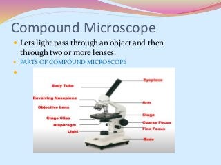 Compound Microscope
 Lets light pass through an object and then
through two or more lenses.
 PARTS OF COMPOUND MICROSCOPE

 