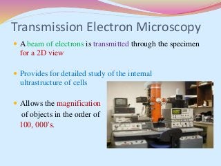 Transmission Electron Microscopy
 A beam of electrons is transmitted through the specimen
for a 2D view
 Provides for detailed study of the internal
ultrastructure of cells
 Allows the magnification
of objects in the order of
100, 000’s.
 