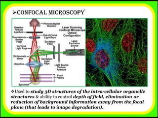 microscopy-seminar-presentation-by-sitesh-pdf
