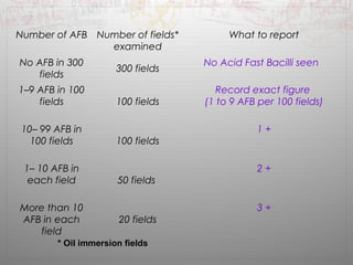 Number of AFB Number of fields* 
examined 
What to report 
No AFB in 300 
fields 300 fields No Acid Fast Bacilli seen 
1–9 AFB in 100 
fields 100 fields 
Record exact figure 
(1 to 9 AFB per 100 fields) 
10– 99 AFB in 
100 fields 100 fields 
1 + 
1– 10 AFB in 
each field 50 fields 
2 + 
More than 10 
AFB in each 
field 
20 fields 
3 + 
* Oil immersion fields 
 
