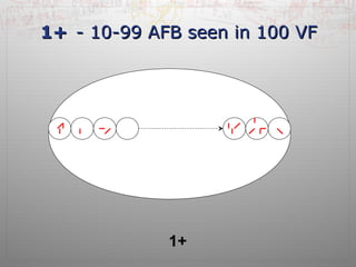 11++ -- 1100--9999 AAFFBB sseeeenn iinn 110000 VVFF 
1+ 
 