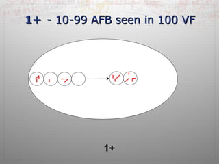 11++ -- 1100--9999 AAFFBB sseeeenn iinn 110000 VVFF 
1+ 
 