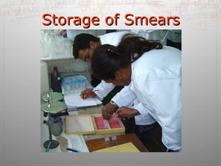 SSttoorraaggee ooff SSmmeeaarrss 
 