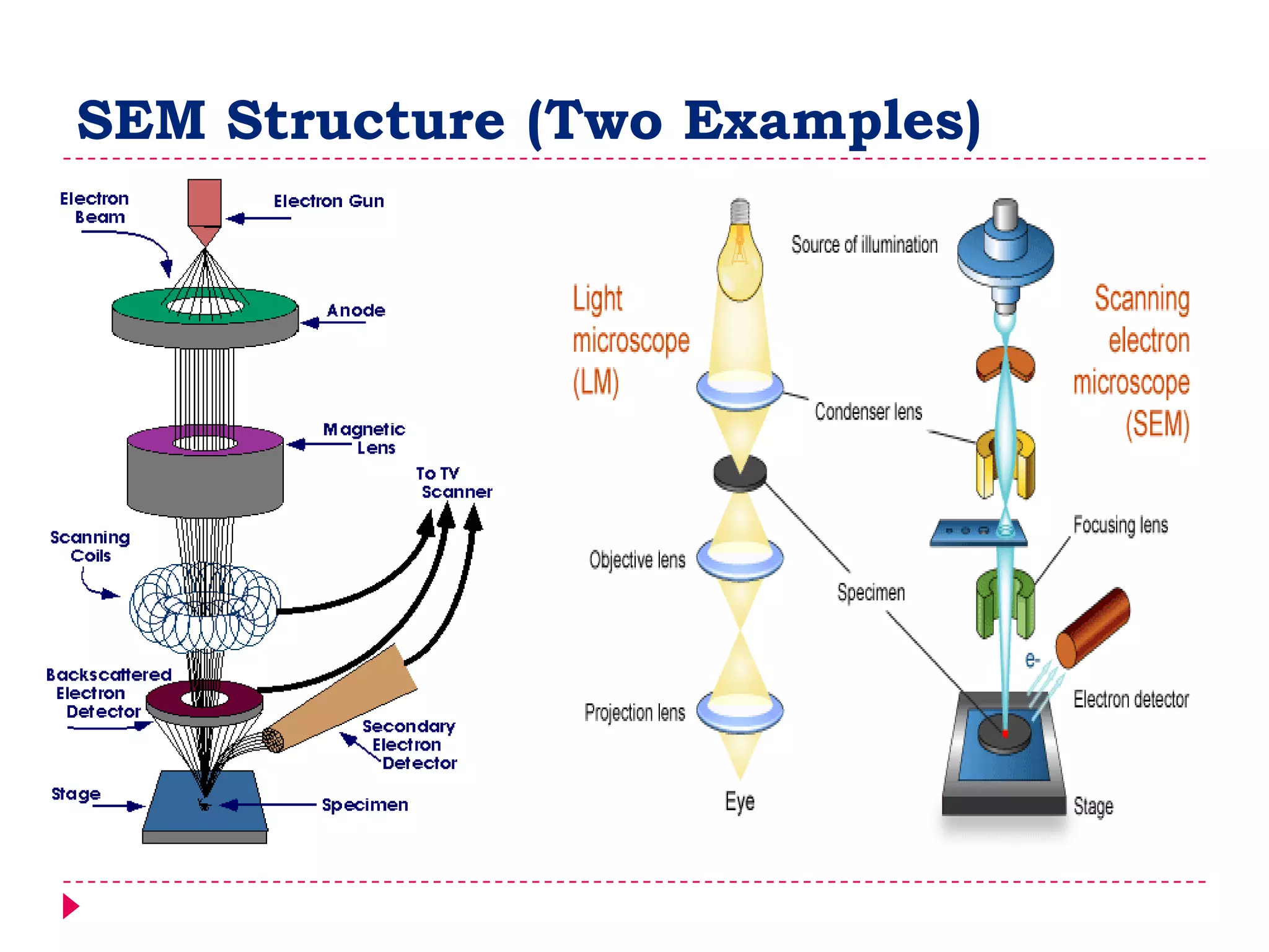 SEM Structure (Two Examples)
 