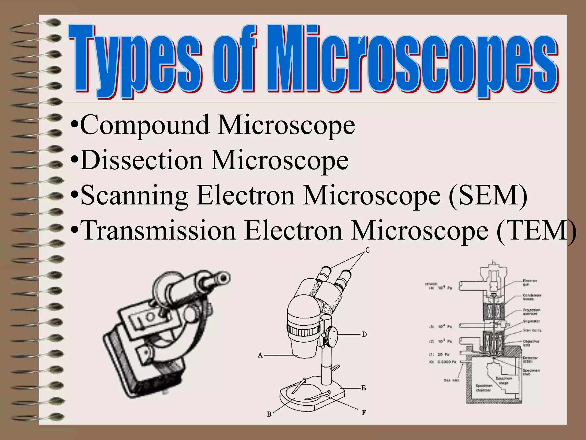 •Compound Microscope
•Dissection Microscope
•Scanning Electron Microscope (SEM)
•Transmission Electron Microscope (TEM)
 