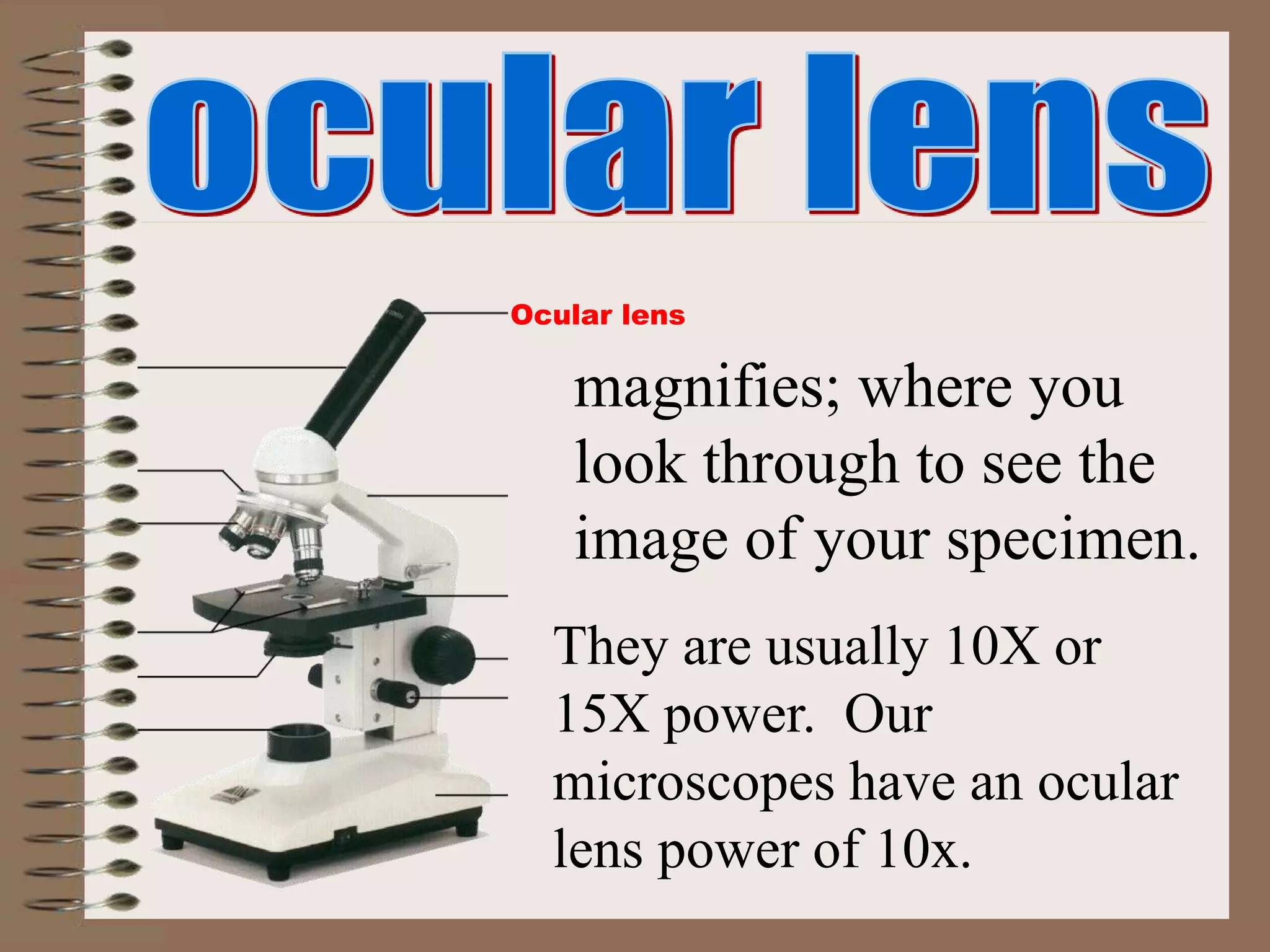 Ocular lens
magnifies; where you
look through to see the
image of your specimen.
They are usually 10X or
15X power. Our
microscopes have an ocular
lens power of 10x.
 