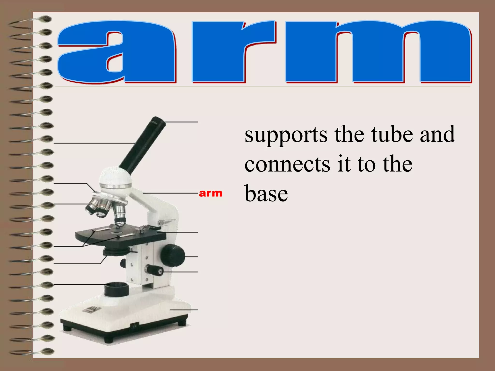 arm
supports the tube and
connects it to the
base
 