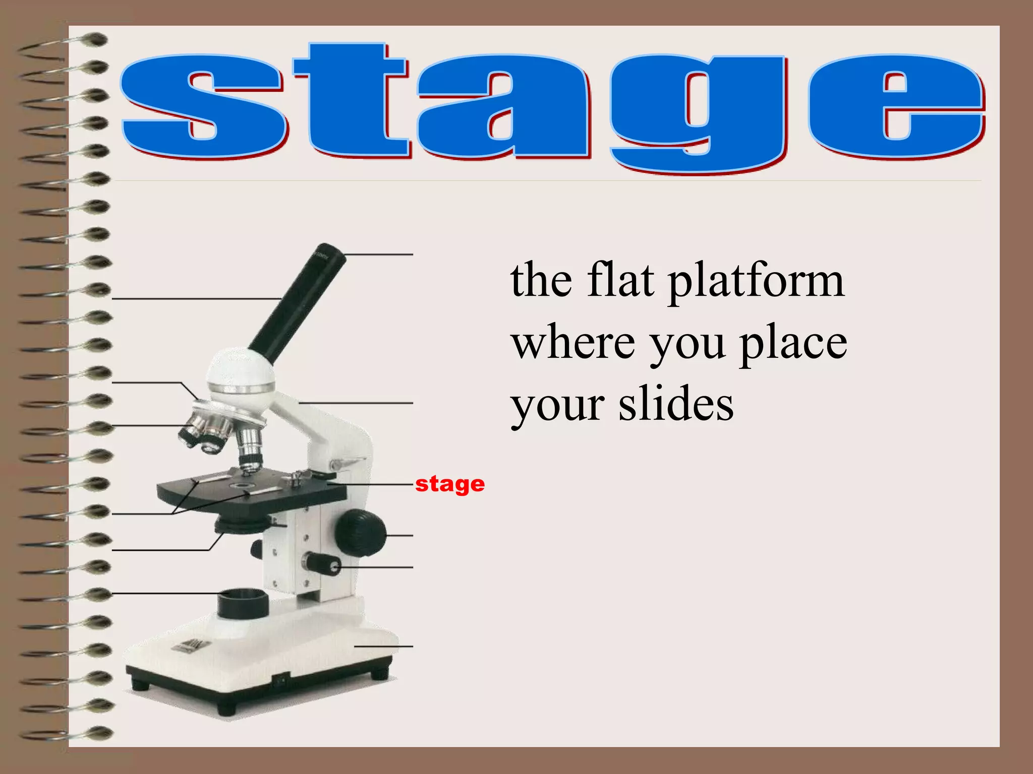 stage
the flat platform
where you place
your slides
 