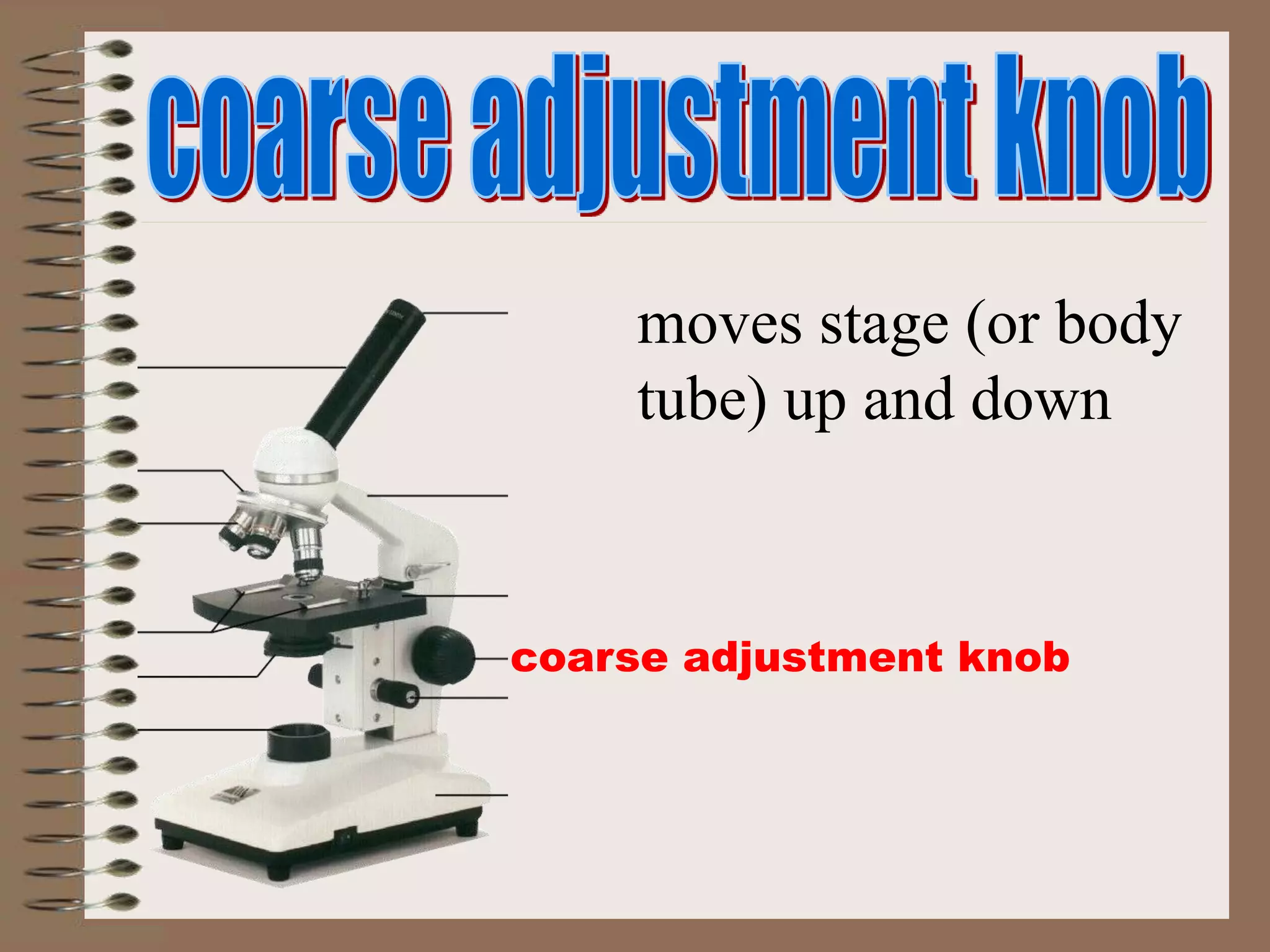 coarse adjustment knob
moves stage (or body
tube) up and down
 
