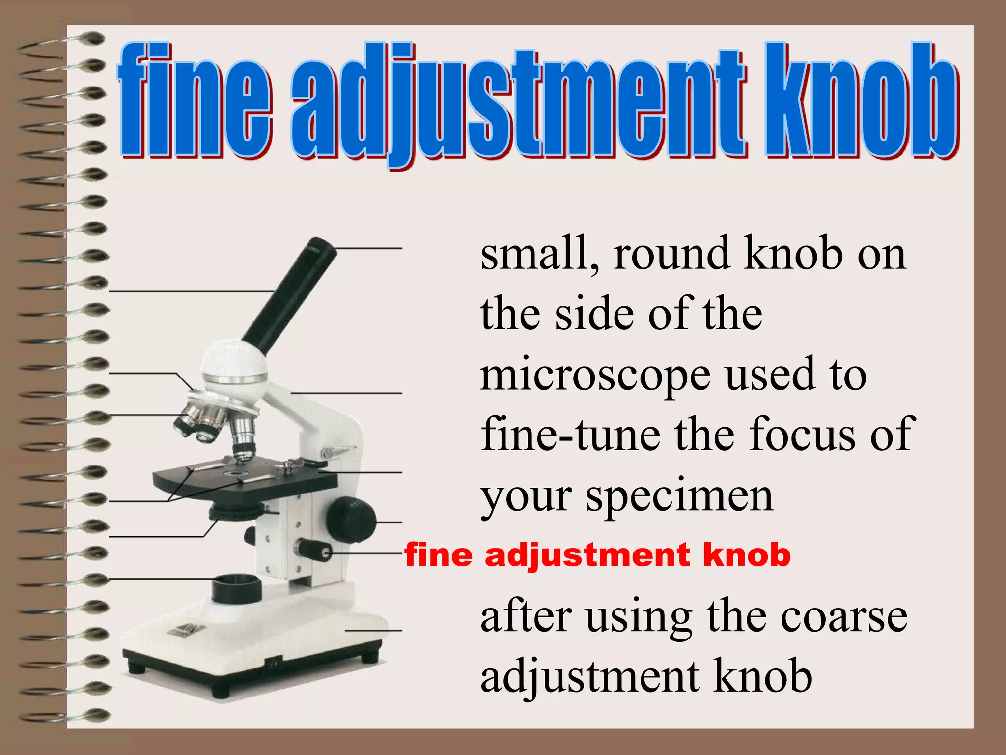 fine adjustment knob
small, round knob on
the side of the
microscope used to
fine-tune the focus of
your specimen
after using the coarse
adjustment knob
 