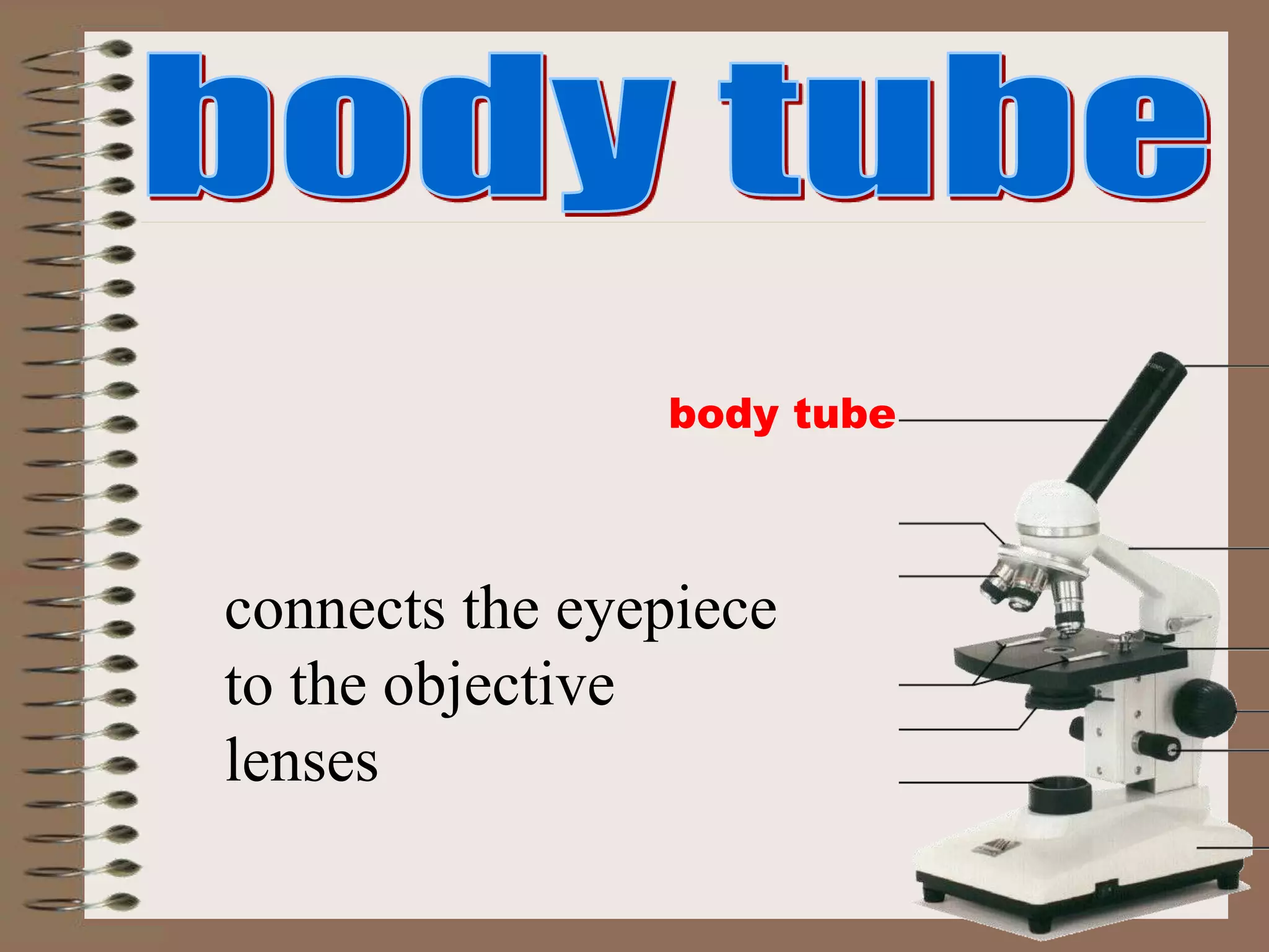 body tube
connects the eyepiece
to the objective
lenses
 