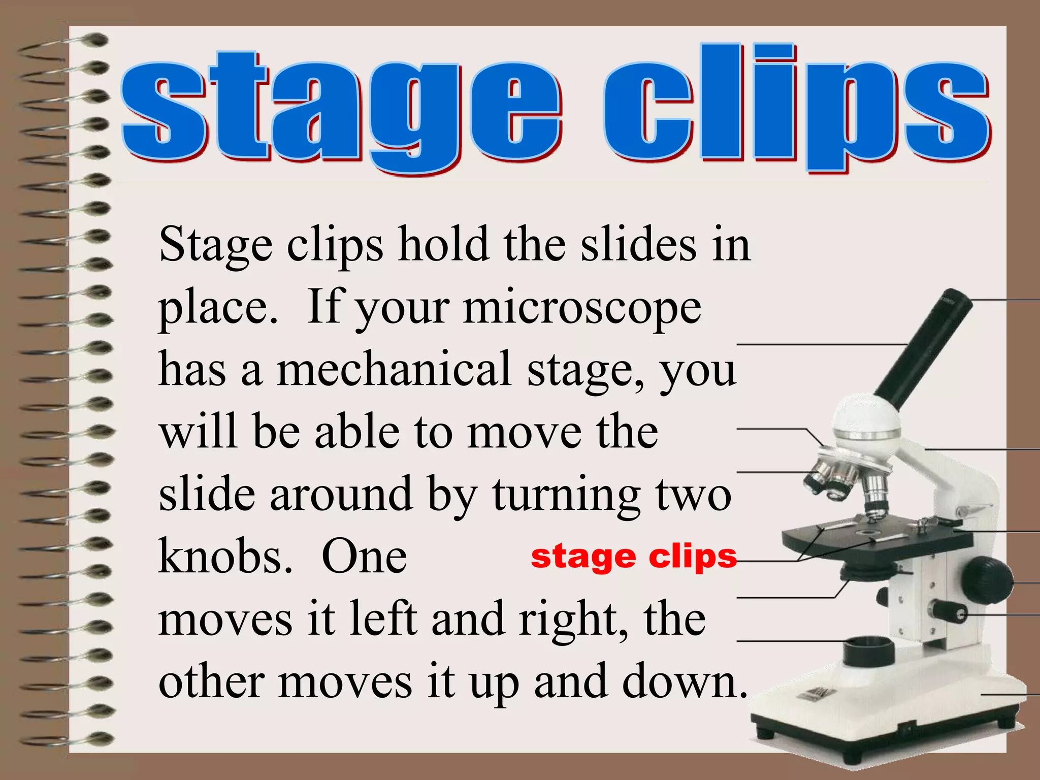stage clips
Stage clips hold the slides in
place. If your microscope
has a mechanical stage, you
will be able to move the
slide around by turning two
knobs. One
moves it left and right, the
other moves it up and down.
 