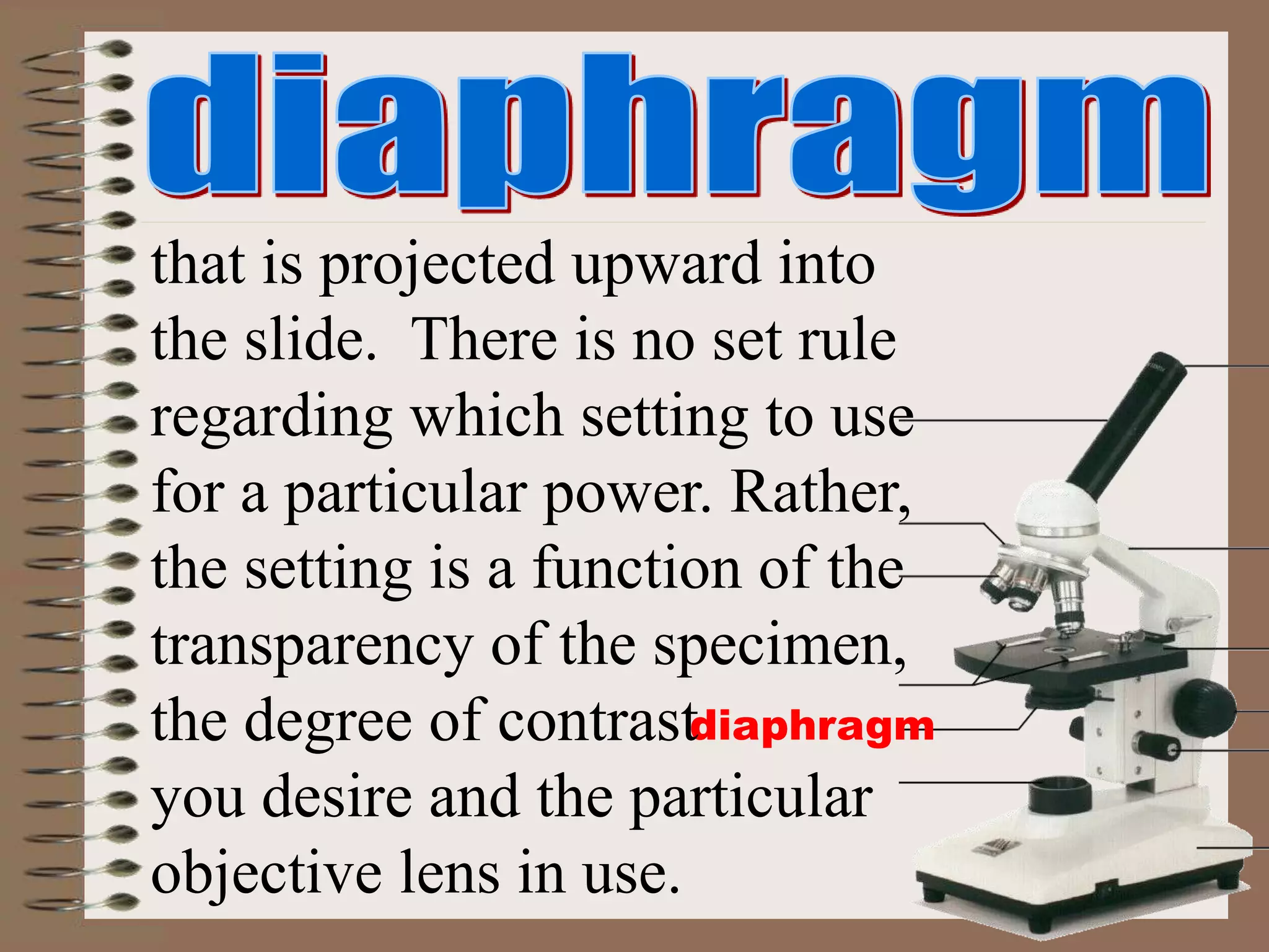 diaphragm
that is projected upward into
the slide. There is no set rule
regarding which setting to use
for a particular power. Rather,
the setting is a function of the
transparency of the specimen,
the degree of contrast
you desire and the particular
objective lens in use.
 