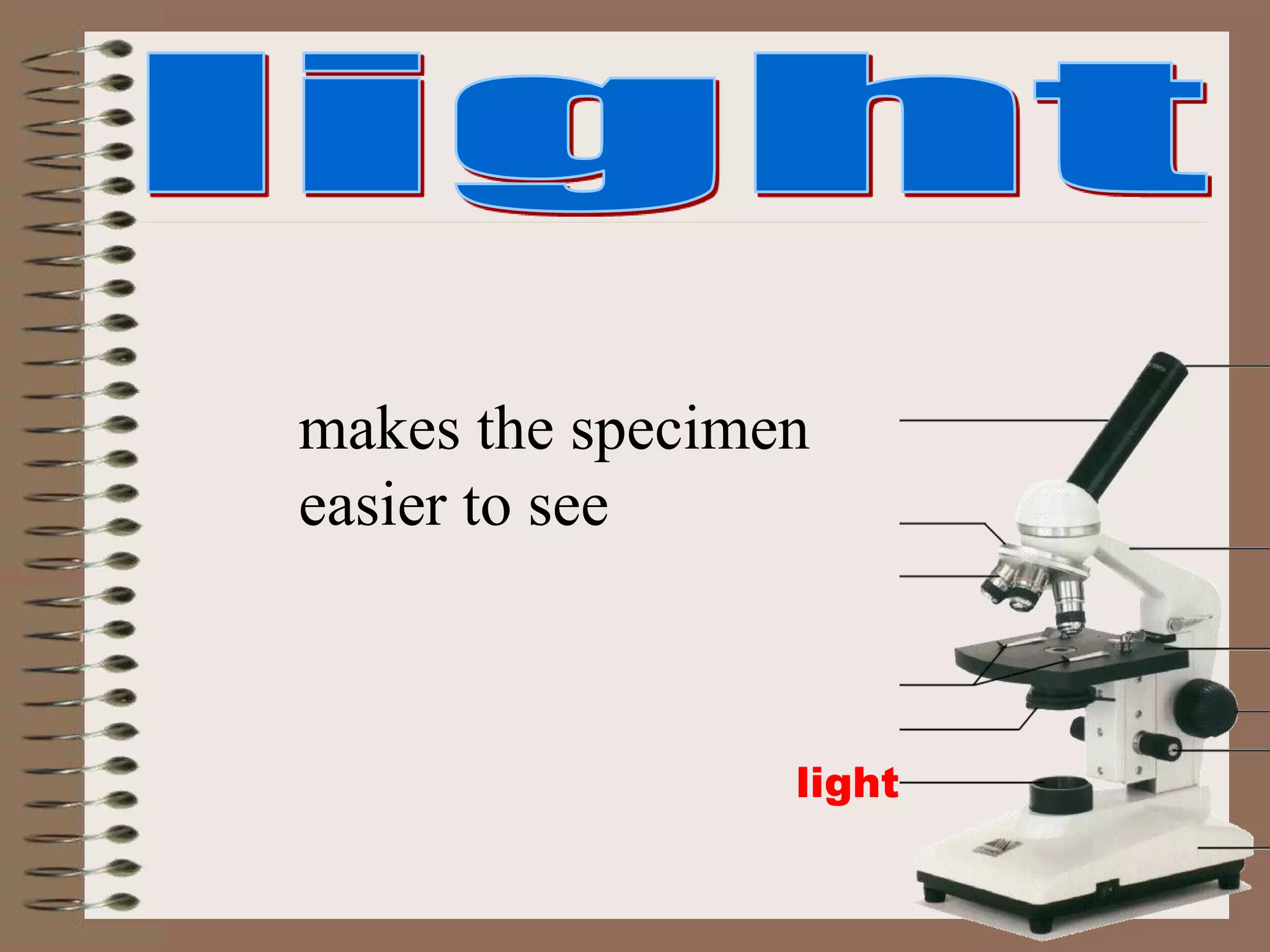 light
makes the specimen
easier to see
 
